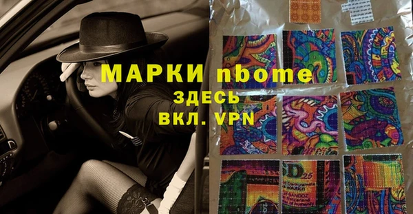 альфа пвп Новодвинск