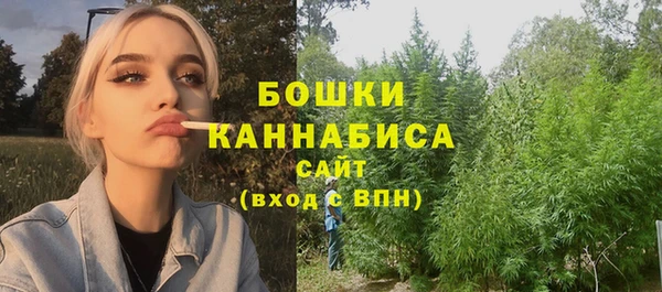 индика Болхов