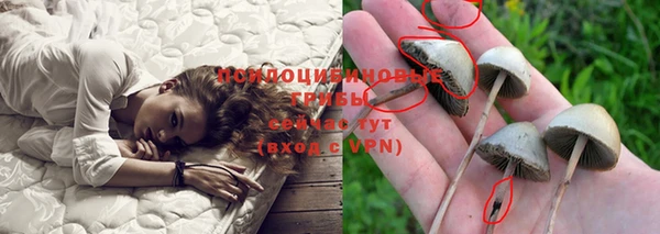 COCAINE Абаза